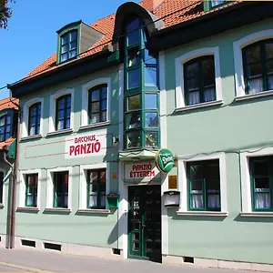Nocleg ze śniadaniem Bacchus Panzio